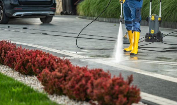 Best Sidewalk and Walkway Cleaning  in Pine Level, NC